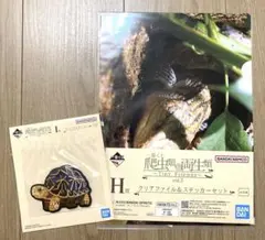 一番くじ 爬虫類＆両生類 H賞 I賞 カメ　2点セット