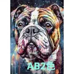 다이아몬드 아트 AB 2 컬러 팩