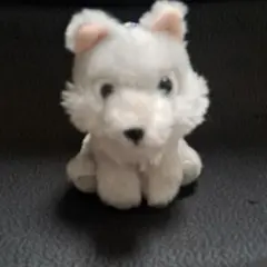 手のひらサイズもふっと狼　ぬいぐるみ マスコット チャーム