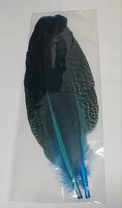 Item thumbnail for item b73282db-b011-4633-9269-3068d90debc3