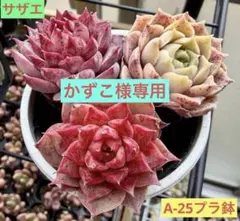 かずこ様 リクエスト 5点 まとめ商品