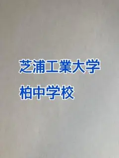 しんしん様 リクエスト 2点 まとめ商品