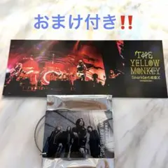 FC限定 新品 THE YELLOW MONKEY アクリルスタンド アクスタ - メルカリ
