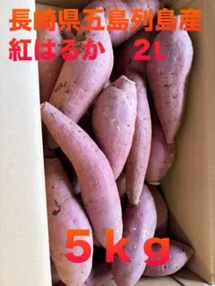 400g×2袋 紅はるか 平干し 天日干し 産地直送 贈答用 干し芋 5 - メルカリ