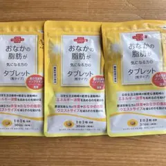 大正製薬 おなかの脂肪が気になる方のタブレット 90粒 30日分　3袋セットのサムネイル