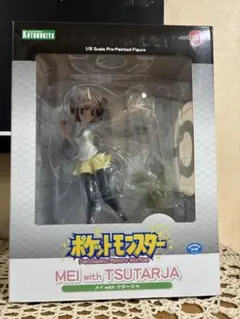 ポケモン　メイ with ツタージャ フィギュア　【新品未開封】