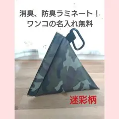 Item thumbnail for item 97dab62e-65ec-49c6-a5e6-075f73345451