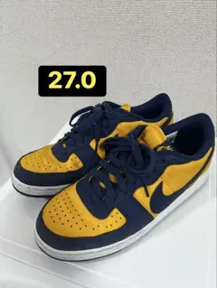 Nike Terminator Low "Michigan"27.0cm