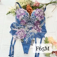 【新品】wacoal サルート　49 ブラ　ソング　ガーター　F65M BU