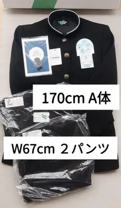 Item thumbnail for item c2e49df7-0578-4187-9af7-e5b6a7c3c6ea