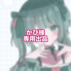 かぴ様専用出品