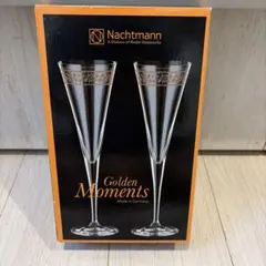 Nachtmann ペア　フルートグラス　シャンパングラス　2個入り