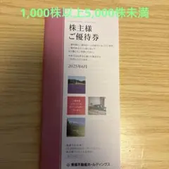 5000株以上 東急不動産ホールディングス　株主優待券　最新版