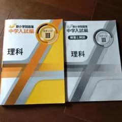 Item thumbnail for item ee05530b-b71c-4a95-beb6-3522a933062c