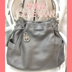 【極美品】コールハーン大きめレザー肩掛けワンショルダーバッグ正規品C15