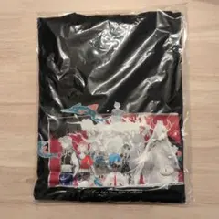 非売品Eve Experience Tour 2024 『再邂』 Tシャツ - メルカリ