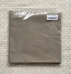 Check&strIpe新品 ナチュラルコットンHoliday ベージュ2.5m