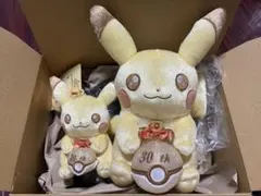 ポケモン 30周年 ピカチュウ ぬいぐるみ マスコット セット(30周年箱