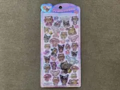 正規品 サンリオ うるちゅるポップシール 日焼けサマー