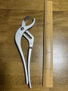 Item thumbnail for item feede0b1-a6d9-4536-a7c0-eb58dddefca8