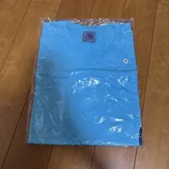 小沢健二 ビッグワッペンフェードT パープル Sサイズ 紫 Tシャツ