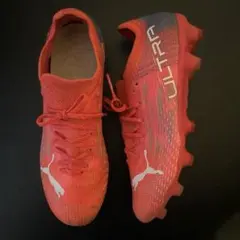 Item thumbnail for item 48f6fc17-8c84-433c-a116-f3bbdfb71069