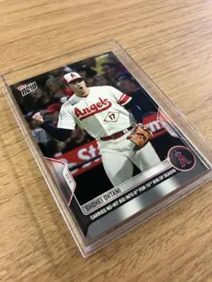 Item thumbnail for item 156dafa1-e054-4502-9ec2-5c19c2cfe69f