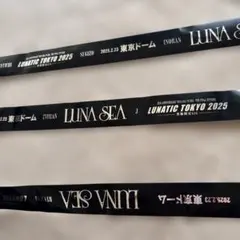 2026年最新】Luna Sea 銀テープの人気アイテム - メルカリ