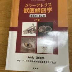 2026年最新】カラーアトラス獣医解剖学の人気アイテム - メルカリ