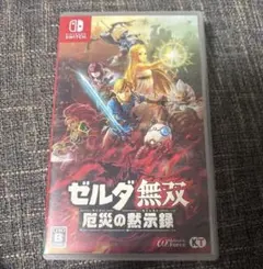 ゼルダ無双 厄災の黙示録 Nintendo Switch ニンテンドースイッチ
