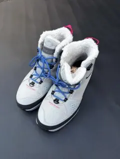 Item thumbnail for item d19fe5c9-fcbb-4bfa-a31e-08e6e1735420