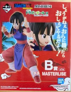 2026年最新】天下一武道会 B賞 チチの人気アイテム - メルカリ