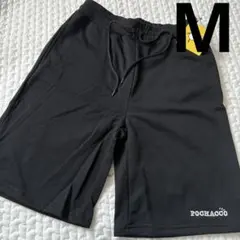 Item thumbnail for item 069f2591-2518-4761-9f2f-90ecc909a6ae