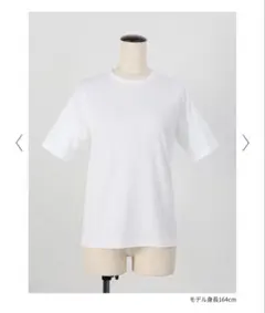 東原亜希FORME未使用USA COTTON LUXE T-SHIRTS - メルカリ