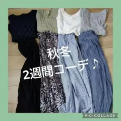 レディース服　まとめ売り　1週間コーデ　きれいめカジュアル　オフィス　秋冬　ML