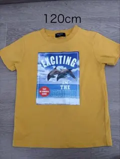 【120cm】ドルフィンプリント Tシャツ