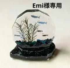 Emi様専用ページです