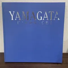 橋本治 画集 橋本 治 : Osamu Hashimoto 初版 帯付き - メルカリ