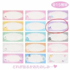サンリオシークレット硬質チケットケース（エンジョイアイドル）クロミ