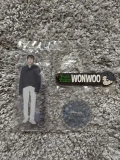 SEVENTEEN ウォヌ　一番くじ　アクリルスタンド ラバーキーホルダー