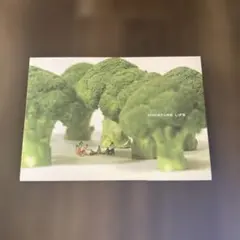 MINIATURE LIFE ミニチュアライフ