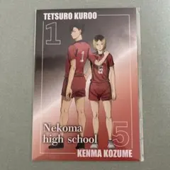 ハイキュー!! 1 黒尾鉄朗 & 孤爪研磨 ポストカード付き