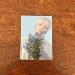 SEVENTEEN HANABI ウォヌ　トレカ