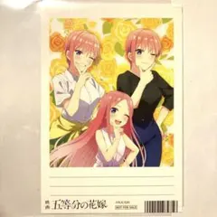 ★非売品★ 映画五等分の花嫁 中野一花 アニメイト購入特典 限定ポストカード