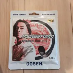 Item thumbnail for item 8ea9b2a2-f81e-4995-b170-0a37af064591