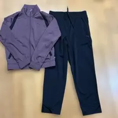 ジャージ上下 レディース 裏起毛