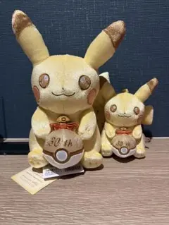 新品未開封 ポケモン 30周年記念 ピカピカ！ピカチュウ ぬいぐるみ＆マスコット