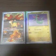 ポケモンカード ドンメル ドラメシャ 2枚セット