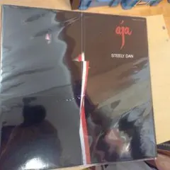 Steady & Co. 春夏秋冬 Stay Gold レコード2枚セット - メルカリ
