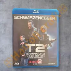 Item thumbnail for item 748329aa-5845-429e-83ab-201a0daae373